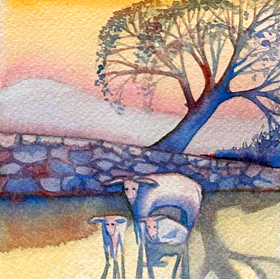 Spring - Sheep at Sunset