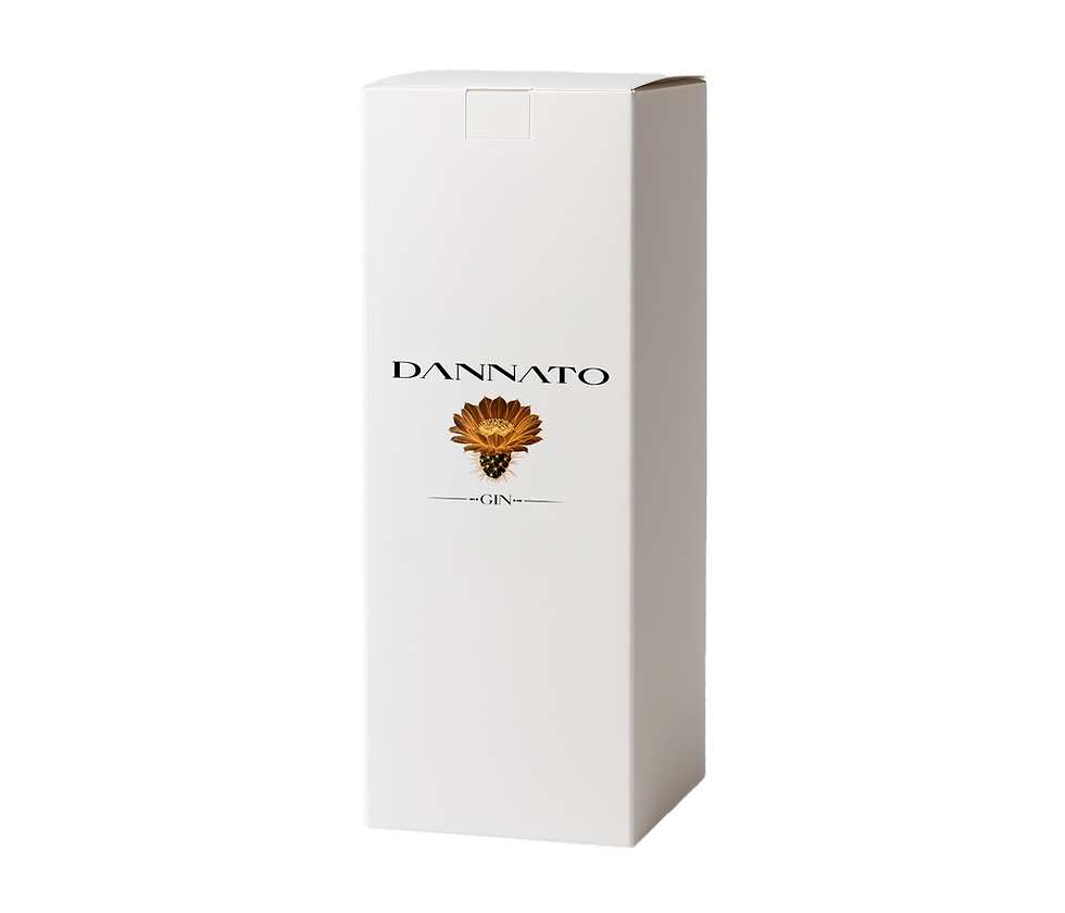 SCATOLA 2 SCONTORNO.png