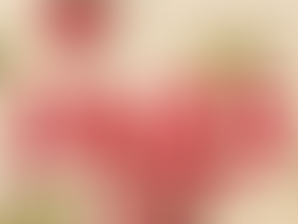 【今年こそ!】最後のダイエット計画