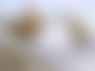 【痩せたければ寝るだけ!?】睡眠がダイエット成功のカギ!