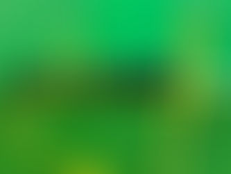 【あなたのダイエットが子どもたちの未来を支える】