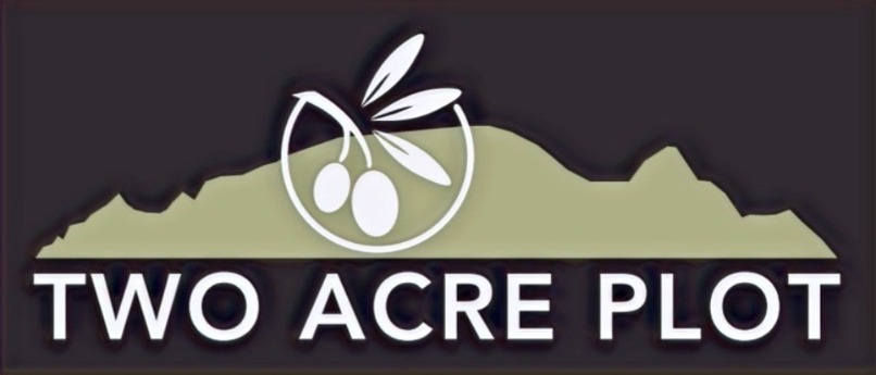Bottles of freshly pressed extra virgin olive oil from the 2026 harvest