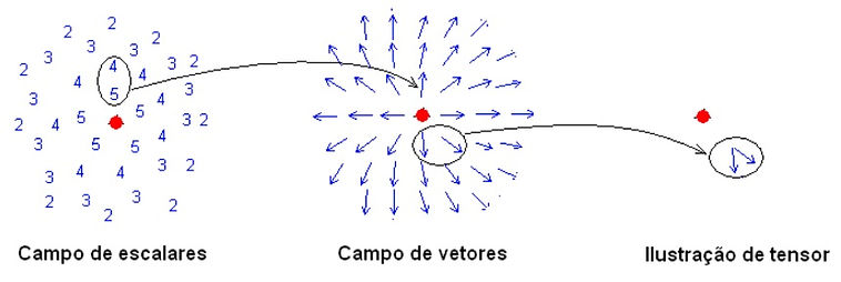 Escalares, vetores e tensores.jpg
