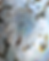 Untitled design (10).png