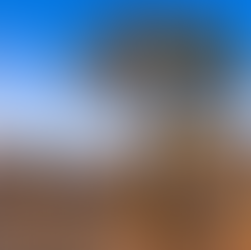 Article Reflection No. 2 (4/8/2022)