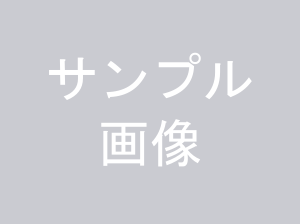 サンプル画像.png