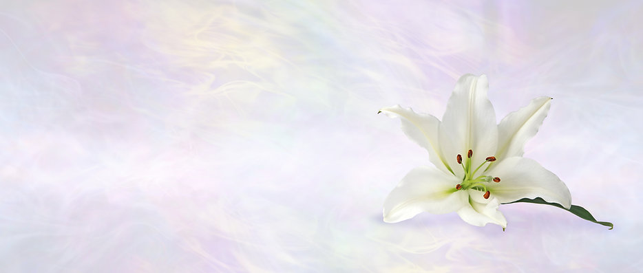 AdobeStock_335222999.jpeg