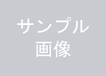 サンプル画像.png