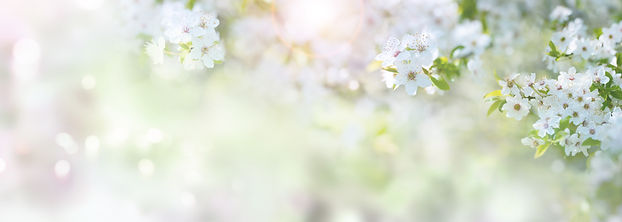 AdobeStock_244930335.jpeg