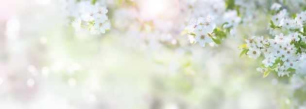 AdobeStock_244930335.jpeg