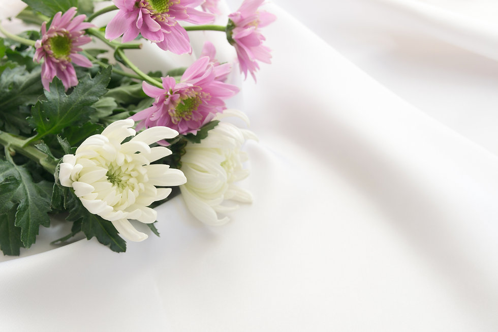 菊