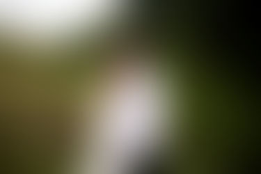 Ensaio Gestante Karina e Ronaldo - Externo