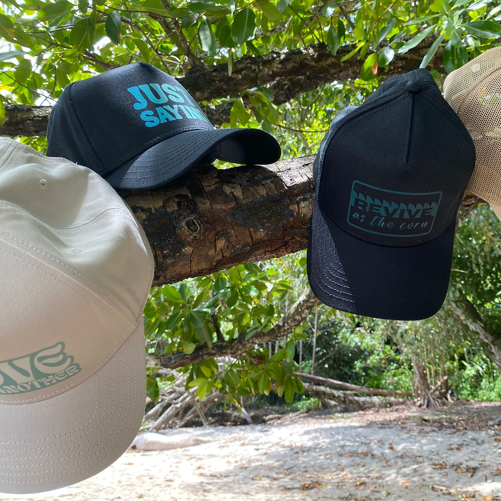 Three baseball caps on tree branch.