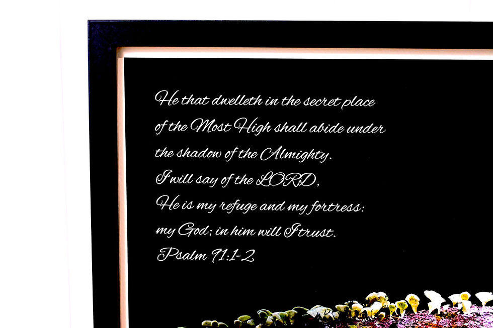 Thumbnail: "Secret Places" Psalm 91:1-2 KJV Art Print