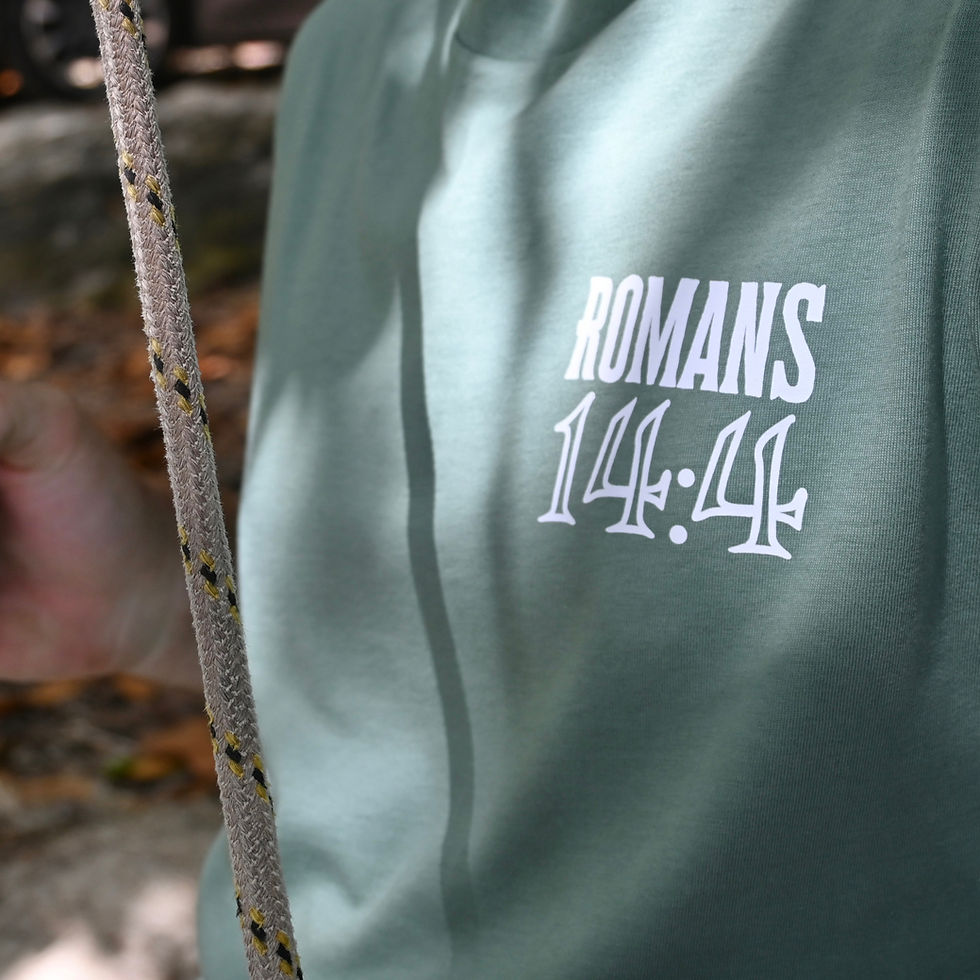 Romans 14:4 KJV sage t-shirt by Revive As The Corn.