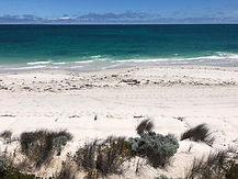 Revive As The Corn Beachside