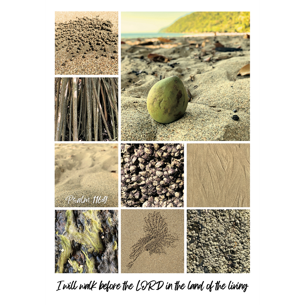 Psalm 116:9 KJV beach collage art print, by Revive As The Corn.
