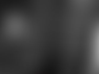 THE COTTAGE BY THE LAKE