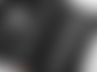 DESECRATION OF A STATUE