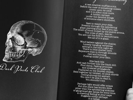 A SURVIVAL GUIDE TO REMINISCING