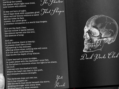 THE SHADOW THAT SHAPES