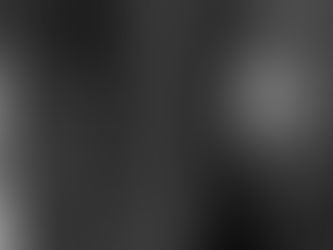 SAY YOU LOVE ME PLEASE