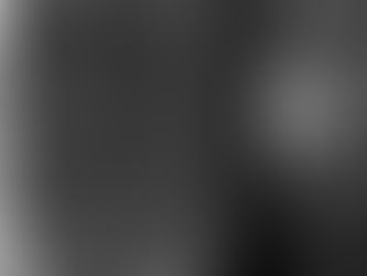 MY GRANDMOTHER BROUGHT ME TO HER CHILDHOOD WOODS