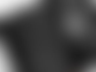 BRIGHTLY SHINES THE SUN