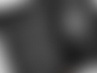 THE OBJECTIFIED ABJECT