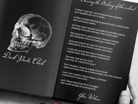 CHASING THE AISLING OF THE ORCHARD