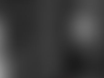 THE VOICES IN MY HEAD