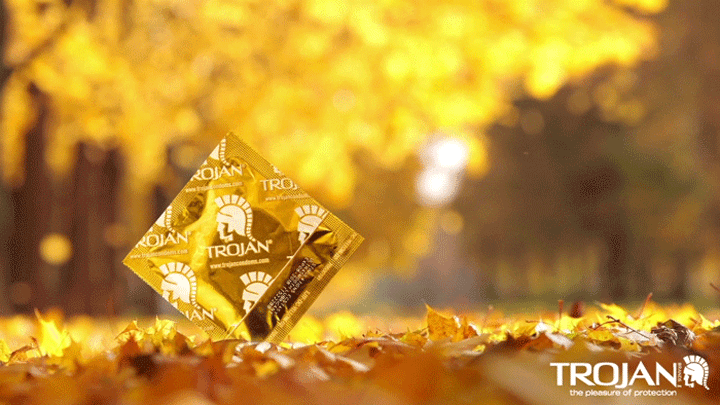 COPY: THIS FALL, ENJOY THE FOLIAGE.