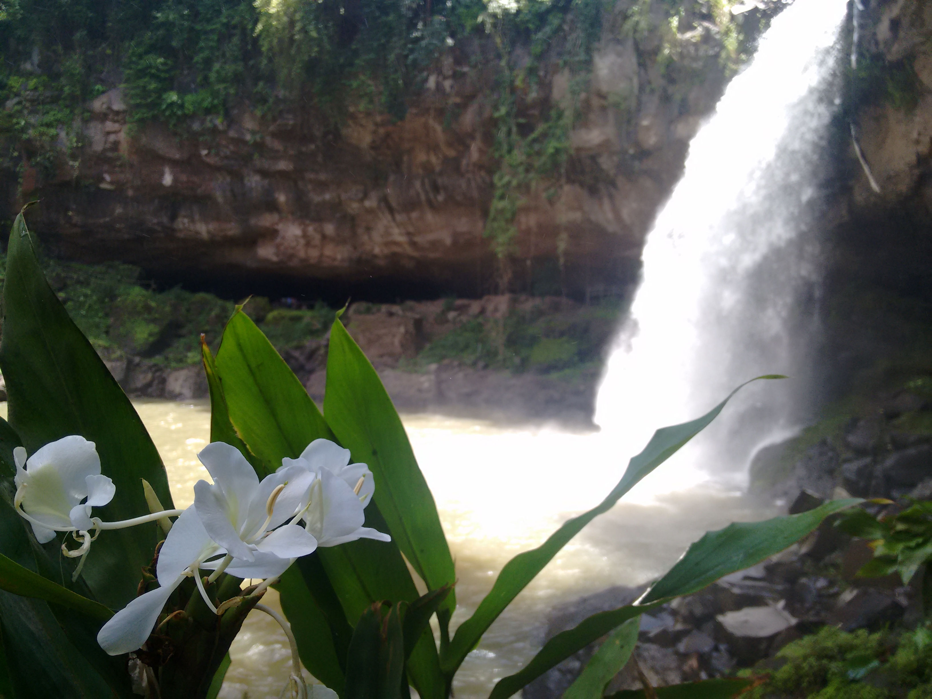 Matagalpa Day Tour (leaving from Matagalapa)