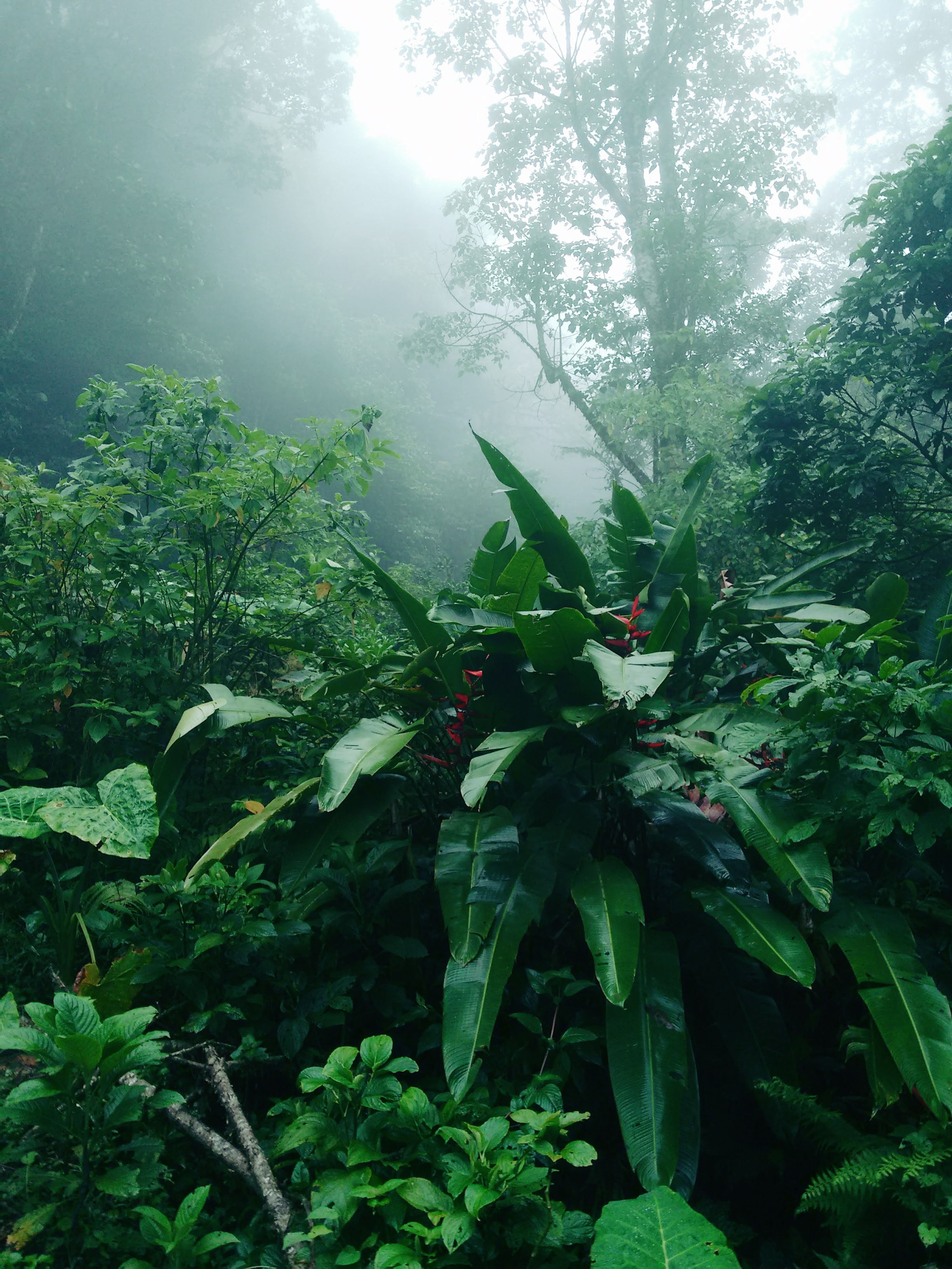 Miraflor Day Trip - 2 people