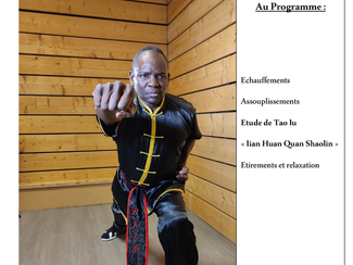 STAGE DE KUNG FU