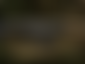 Strategic Technical Assessment - CZ Bren 2 (7.62×39 mm) Automatic Assault Rifle