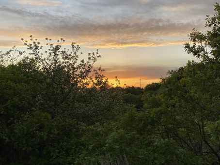 here comes the sun: exploring nature during quarantine