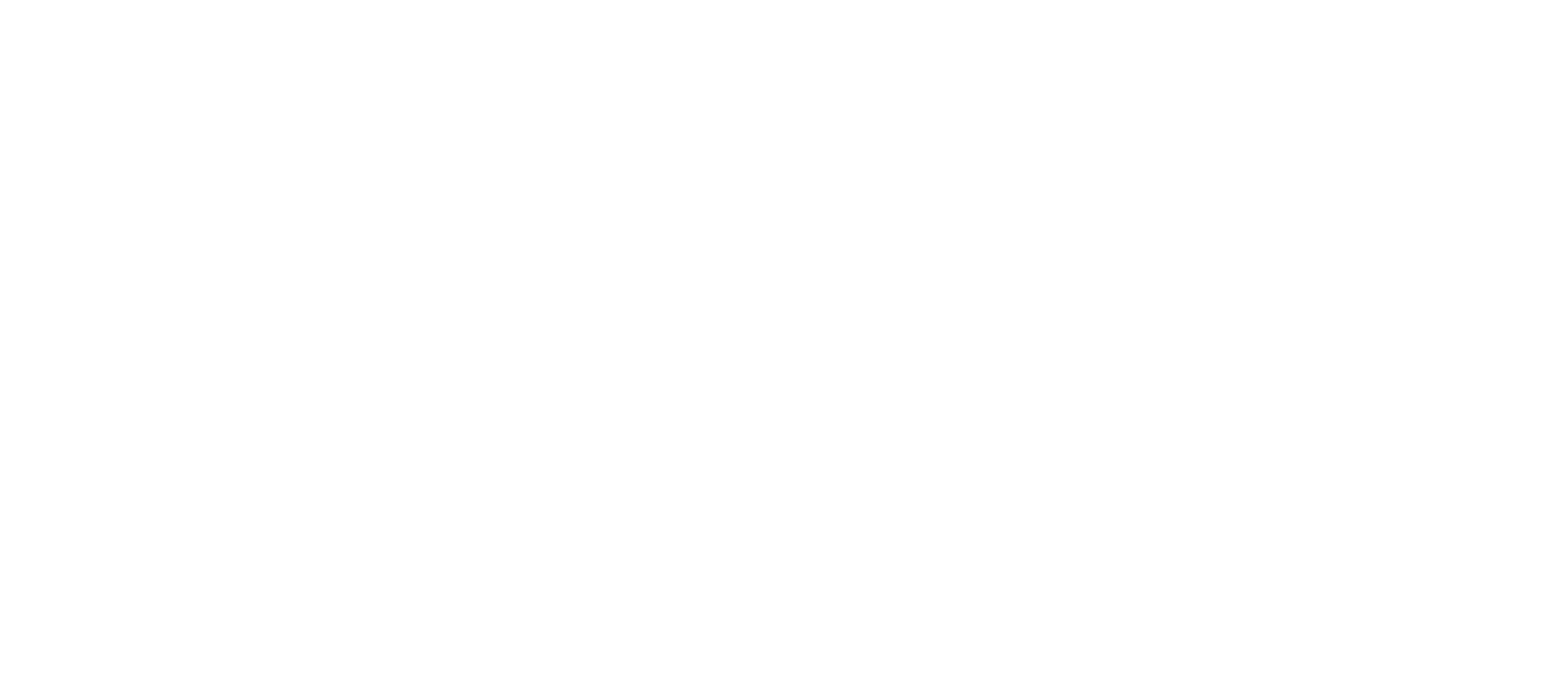 Logo Nexti2_Branco.png