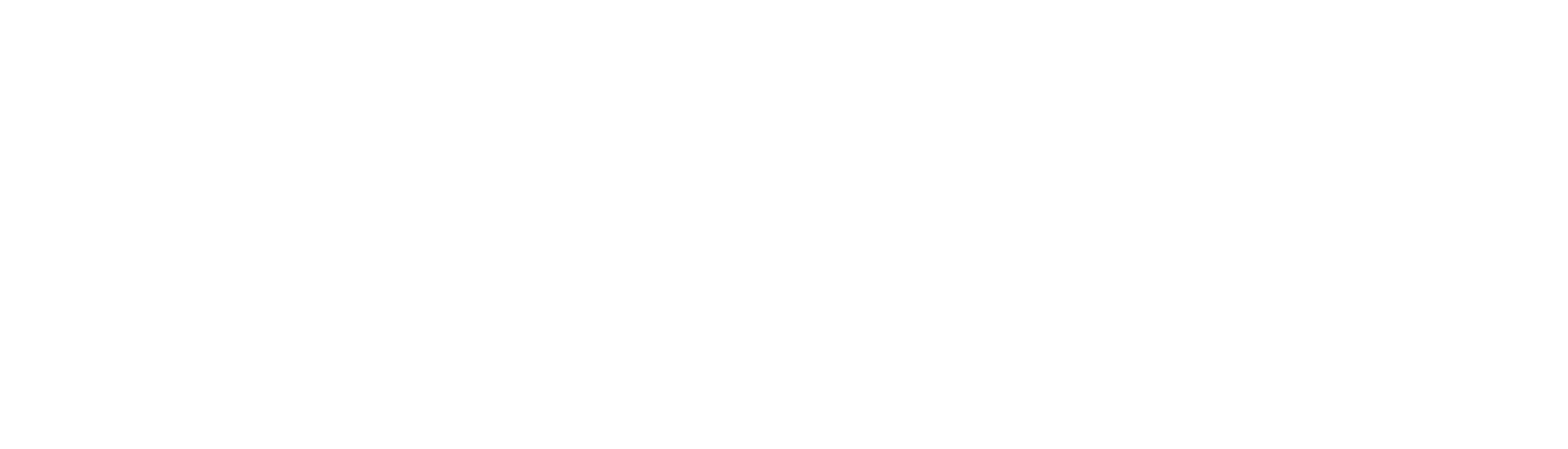 Bravantic Logo_white02-01.png