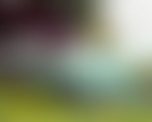 2 Months a Digital Drawing a Day : Day 30