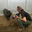 Writer: Freddie B. 