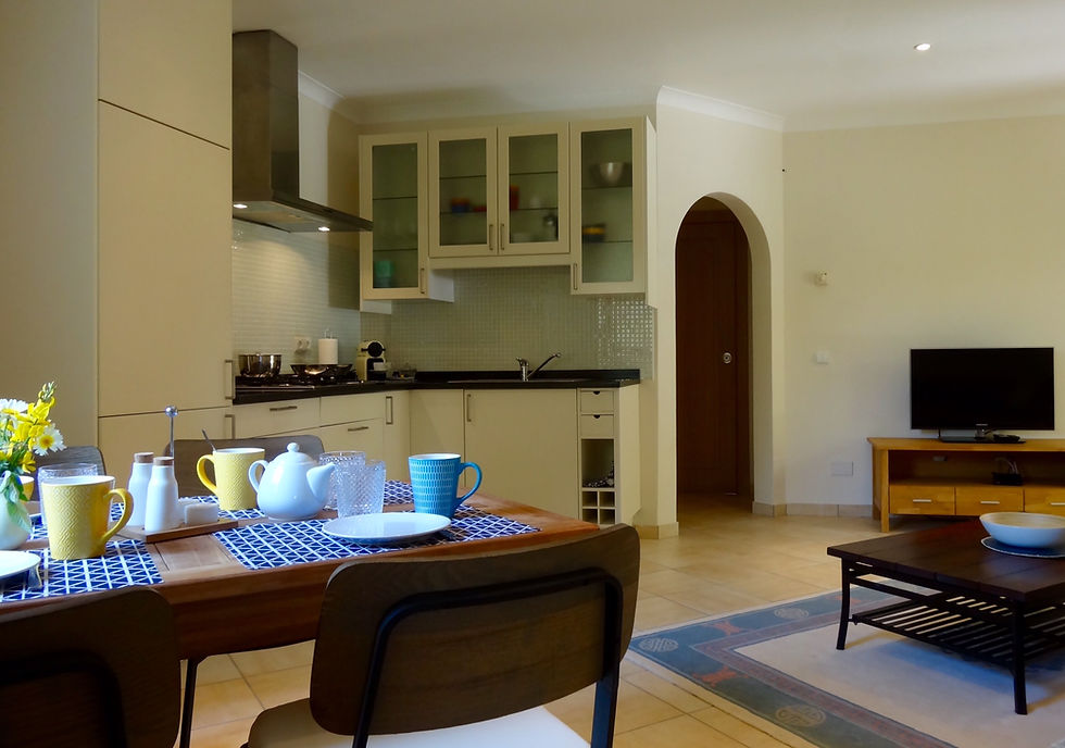 Apartment Kitchen