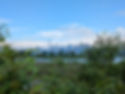 PXL_20240623_145601615.MP.jpg