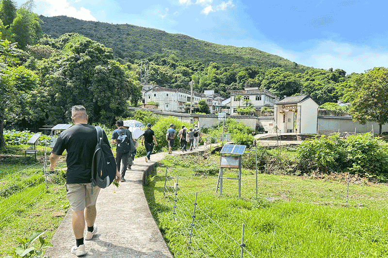 SustainWell Cultural Conservation & outdoor activities