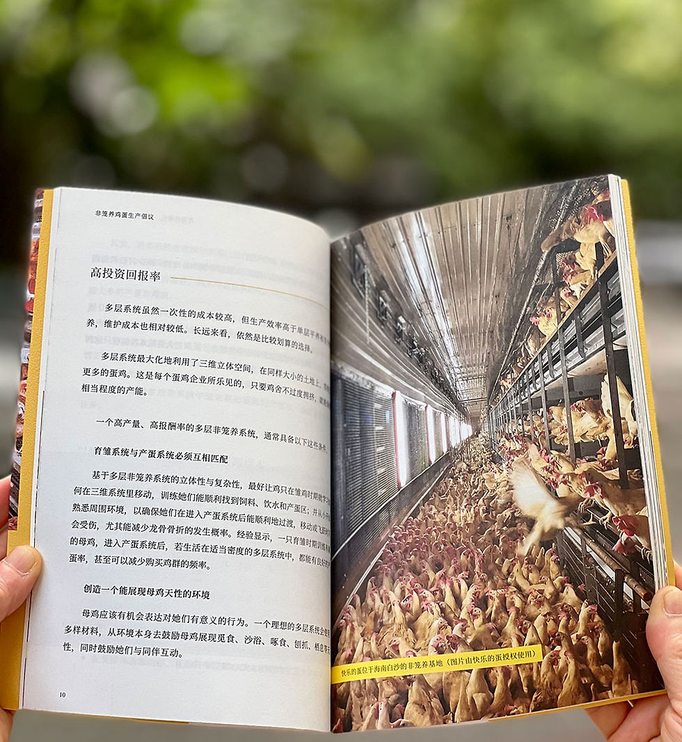Lever has published the region’s first guidebook on commercial cage-free production