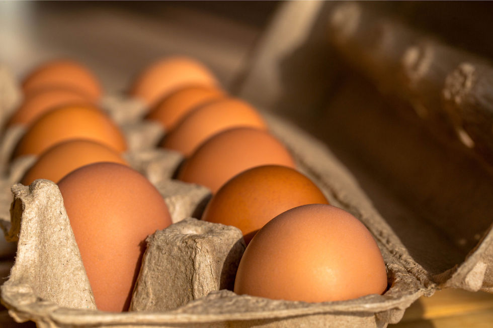 非籠養雞蛋 Cage-free eggs
