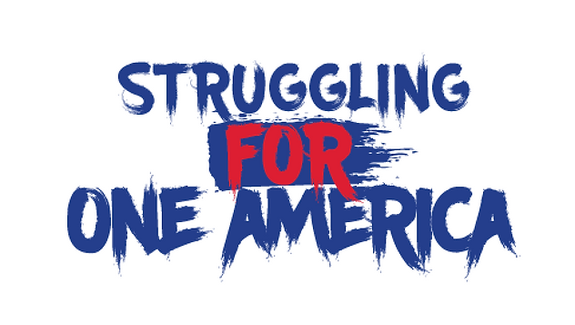 Struggling FOR One America book by Daphne Barak & Erbil Gunastipng