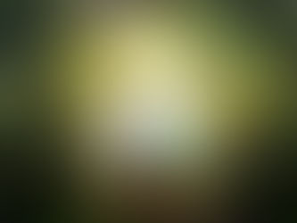 QUANTUM ENERGY AND ANCIENT SCIENCE COMBINED WITHIN HARMONIC EGG