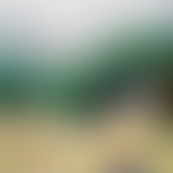 Review: "CAN YOU FEEL IT?" - SPEAK!