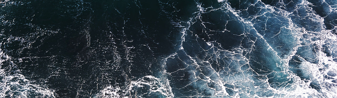 tidewalkers banner2.jpg